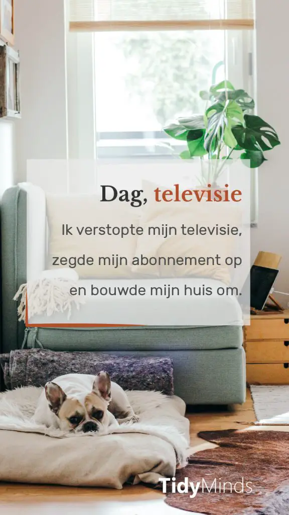 Minimaliseren televisie voor rust en ruimte Tidy Minds