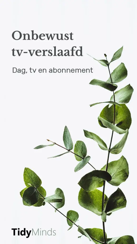 Minimaliseren televisie voor rust en ruimte Tidy Minds