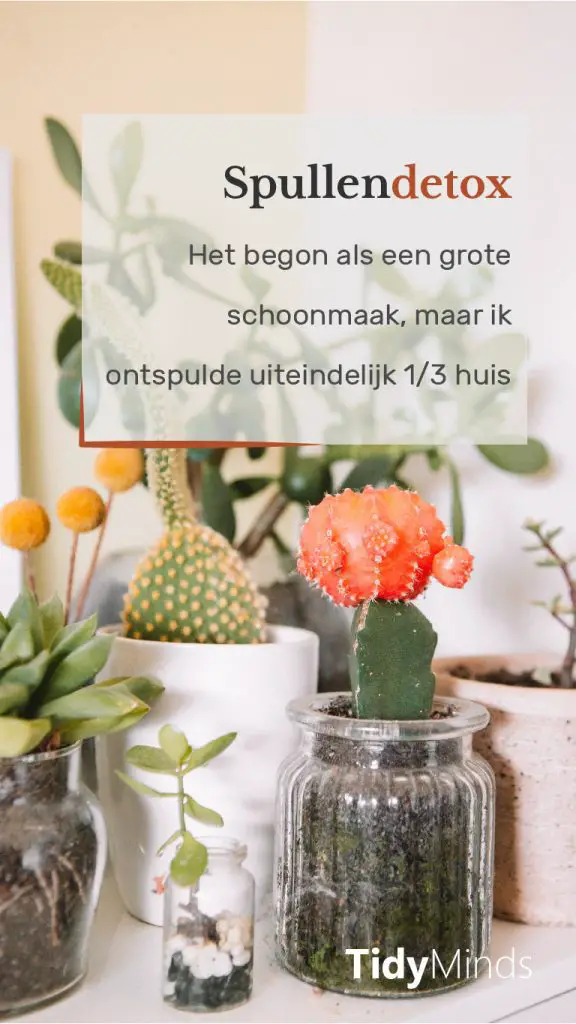 Spullendetox ervaringsverhaal met minimalisme Tidy Minds lessen van Marie Kondo