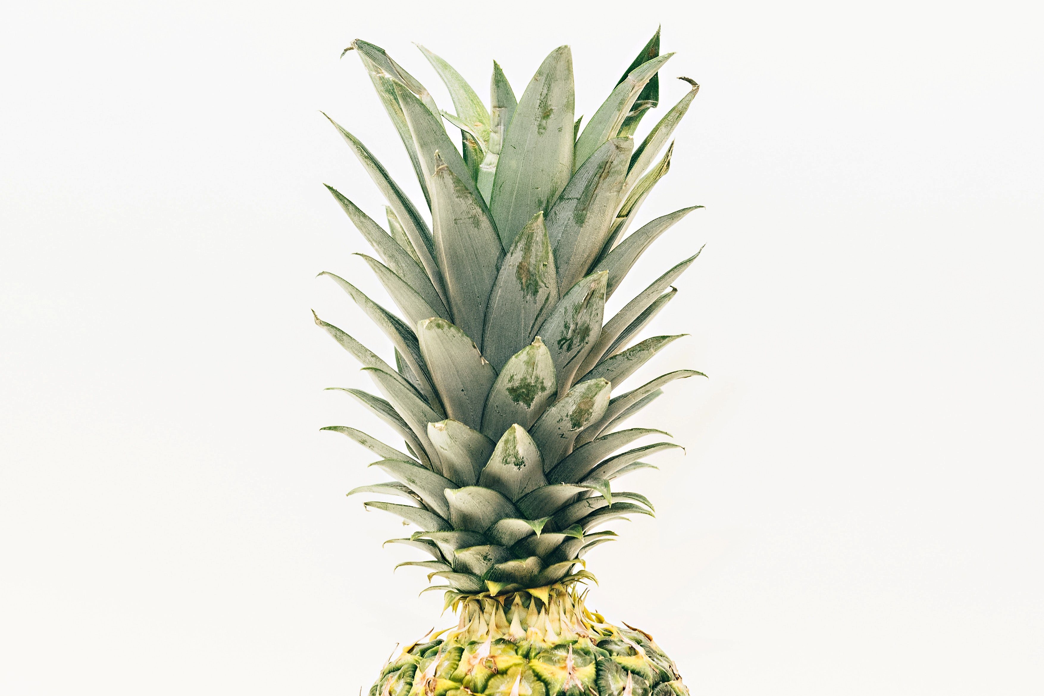 Mindful eten tips: in 5 stappen naar bewust eten