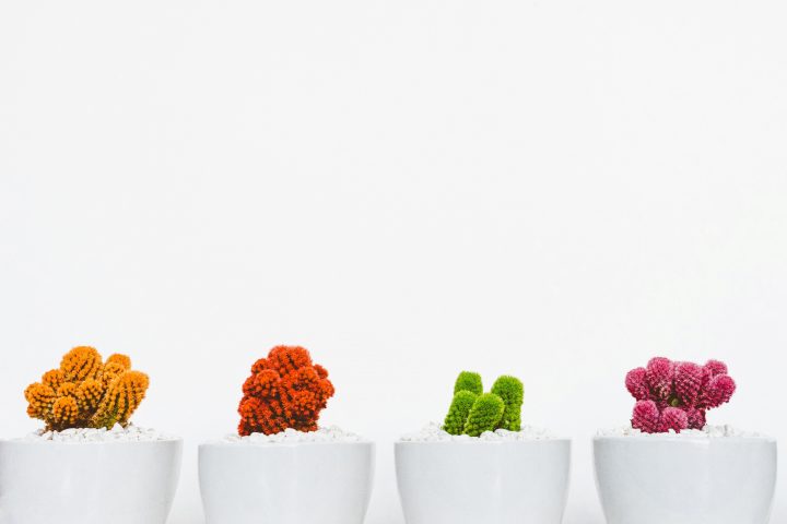 Tidy Minds | Ontspullen | Minimalisme