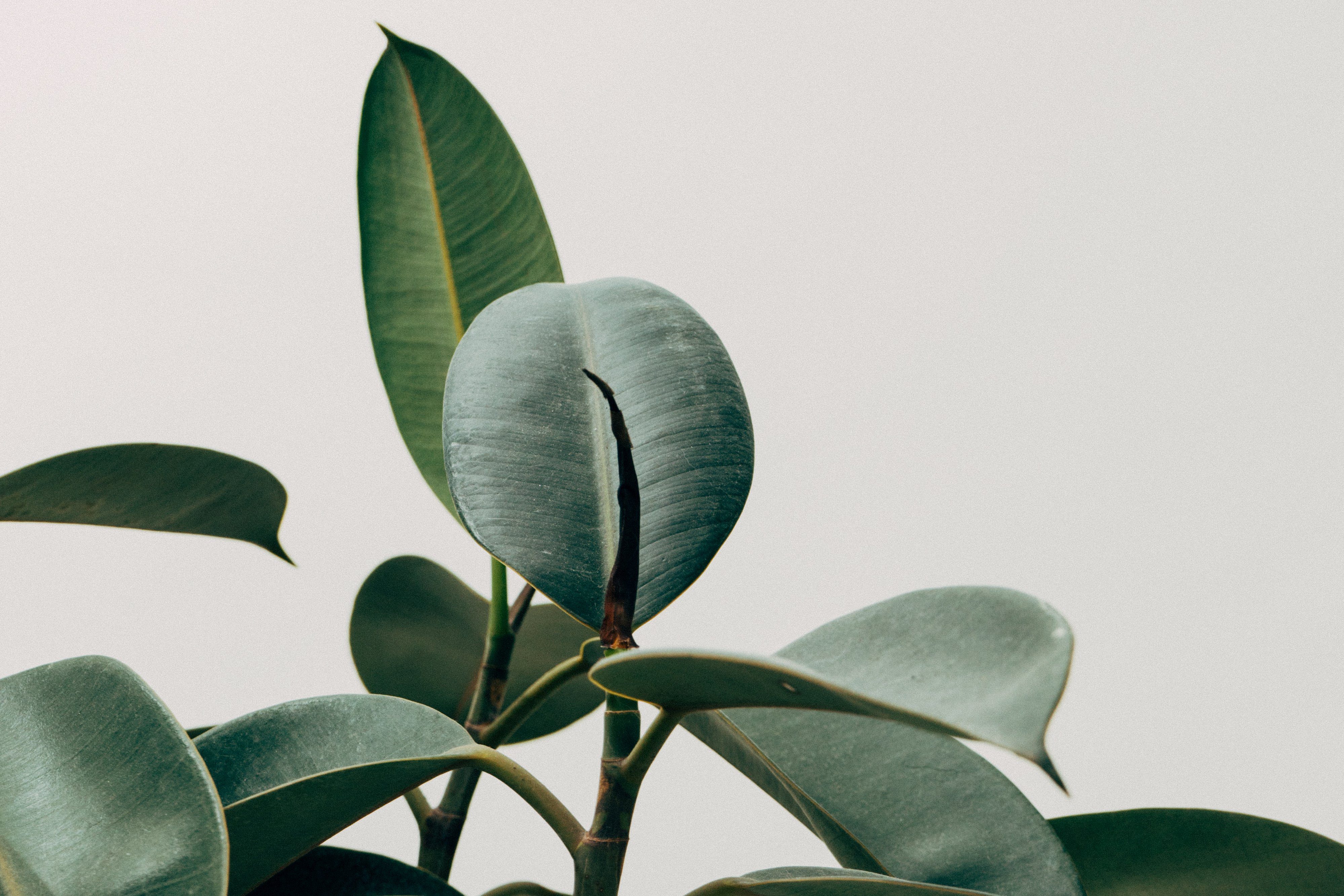 Ontspullen tips: 10x opruimen volgens Marie Kondo