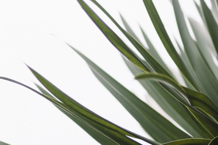 Tidy Minds | Opruimen | Ontspullen