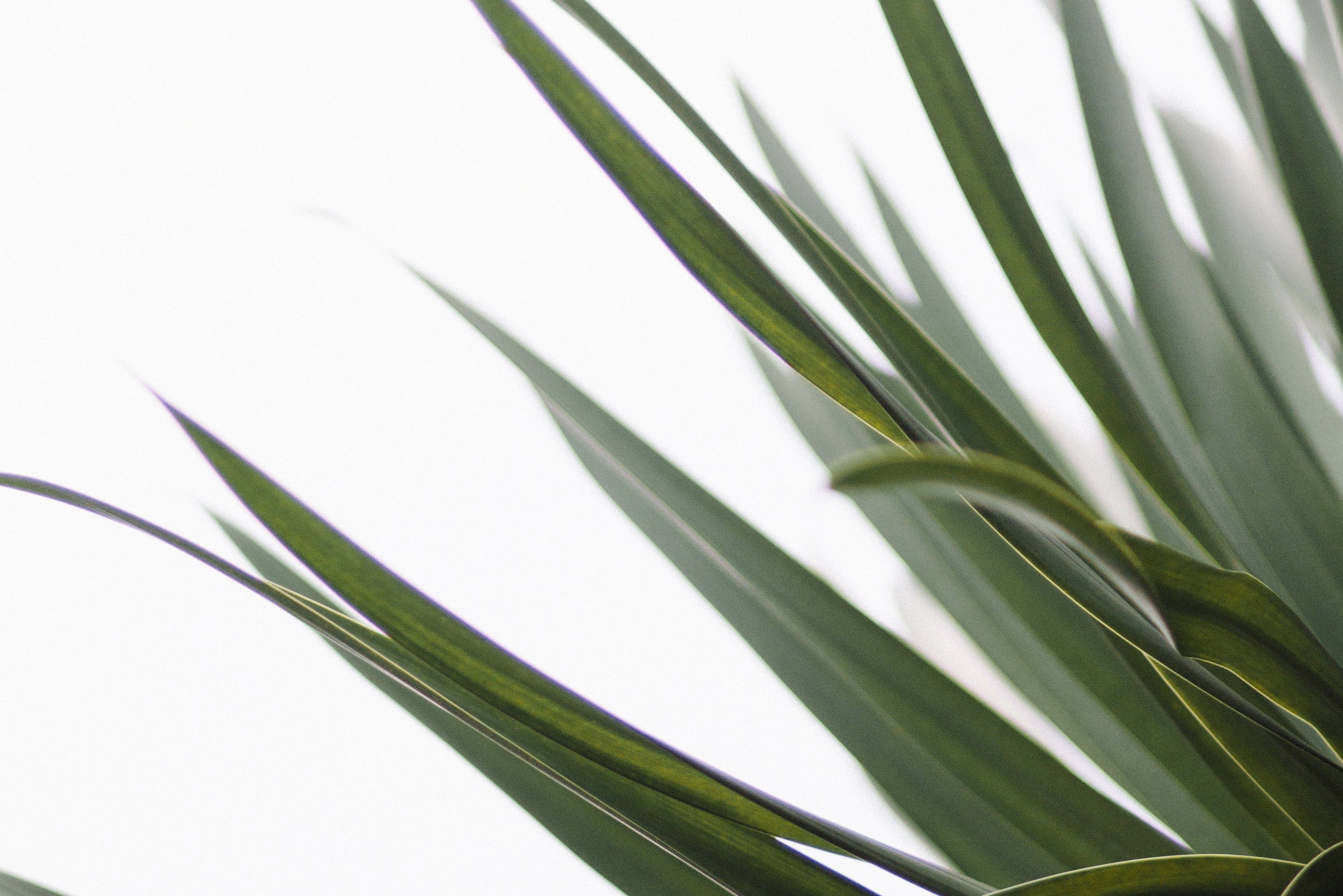 De rust van opruimen: 3 tips van een minimalist