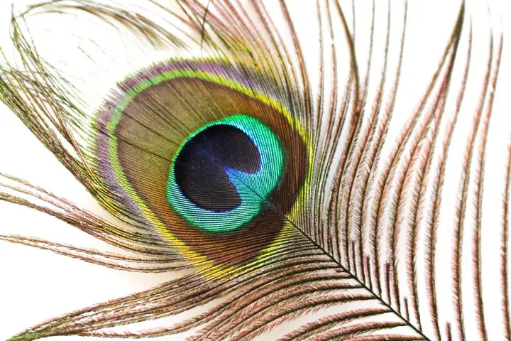 Tidy Minds | Ontspullen | Minimalisme