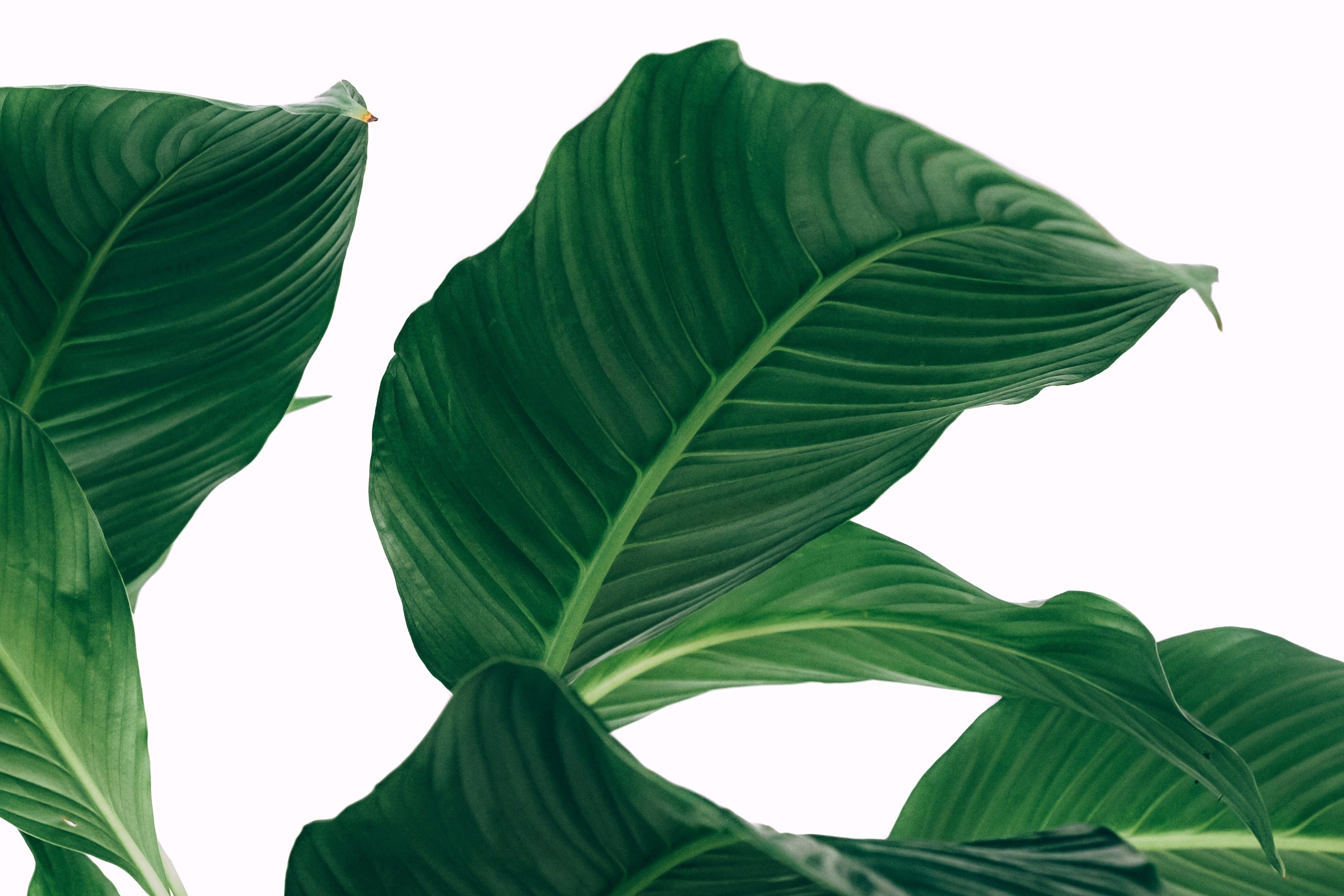 Ontspullen tips: deze 10 spullen moet je direct de deur uitdoen