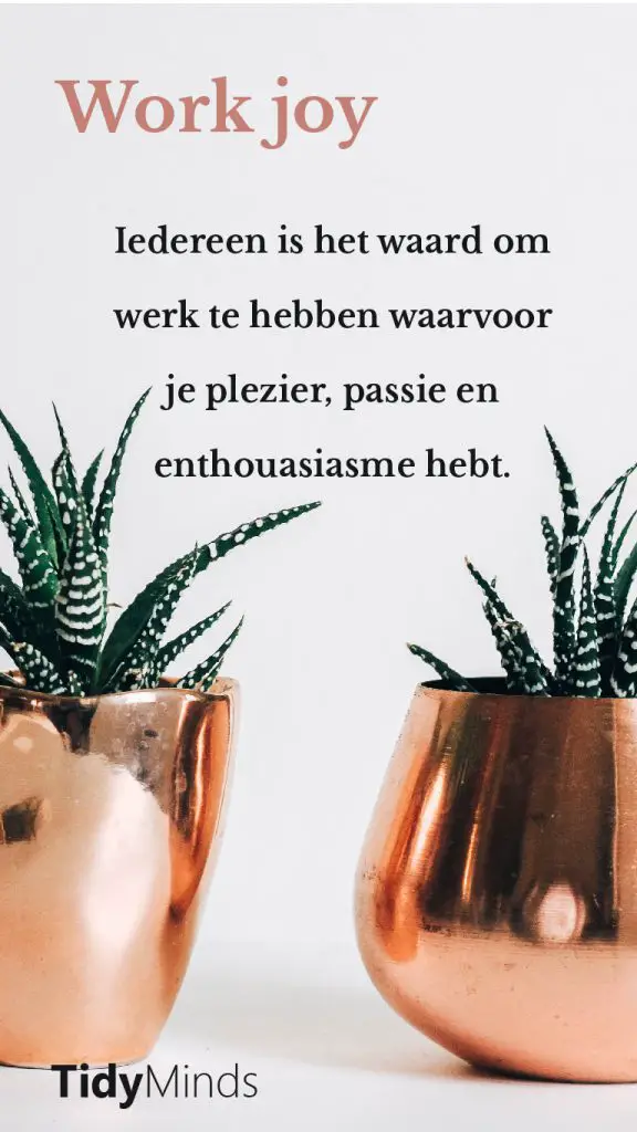 Werkinzicht en work joy Levenslessen over werk Tidy Minds Bewustwording