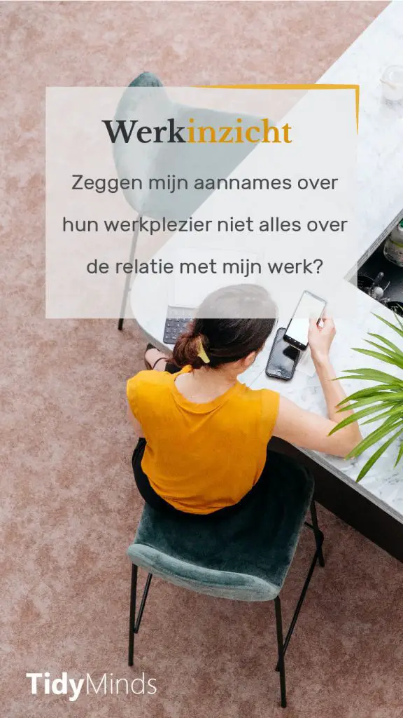Werkinzicht en work joy Levenslessen over werk Tidy Minds Bewustwording