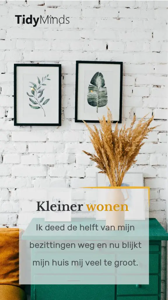 Kleiner wonen tiny house extra kamer nodig minimalisme Tidy Minds (1)