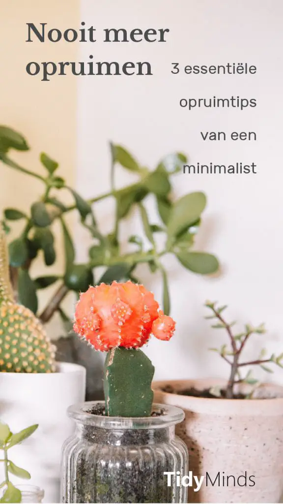 Opruimtips van een minimalist ontspullen minimalisme Tidy Minds (1)