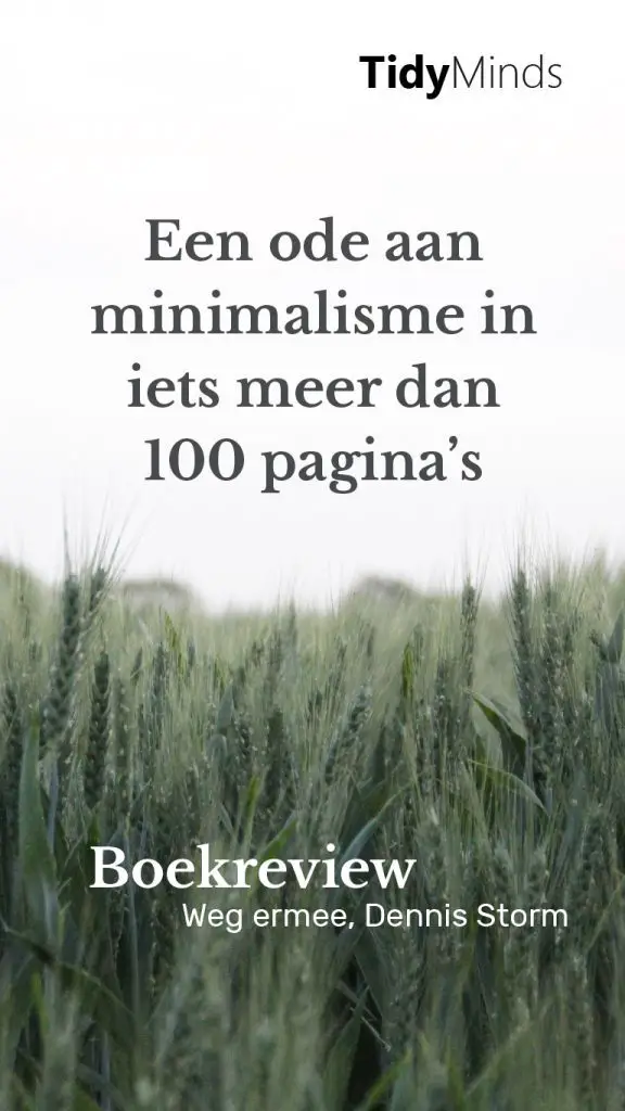 Boekreview Weg Ermee Dennis Storm over minimalisme en ontspullen door Tidy Minds