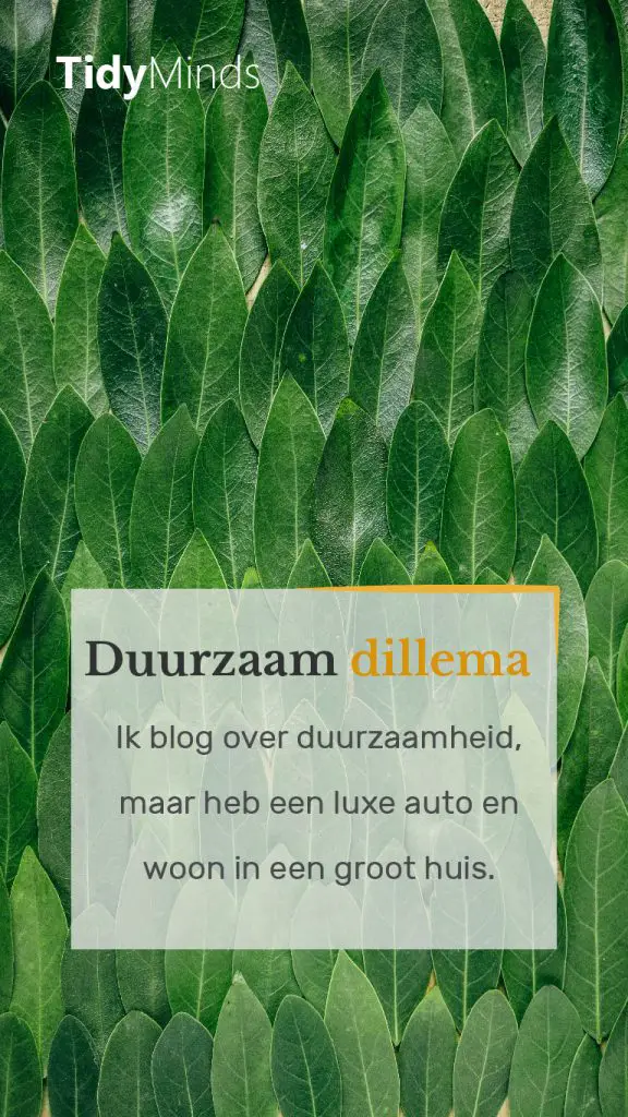 Interview duurzame blogger manonlofeslife over duurzaamheid minimalisme 