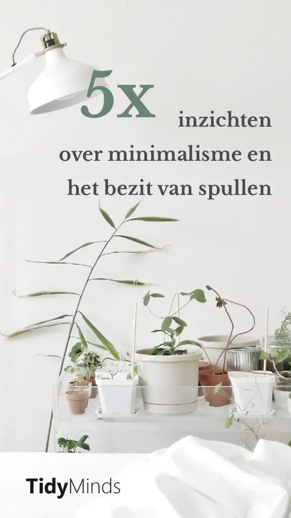 Inzichten minimalisme ontspullen bezit van spullen Tidy Minds