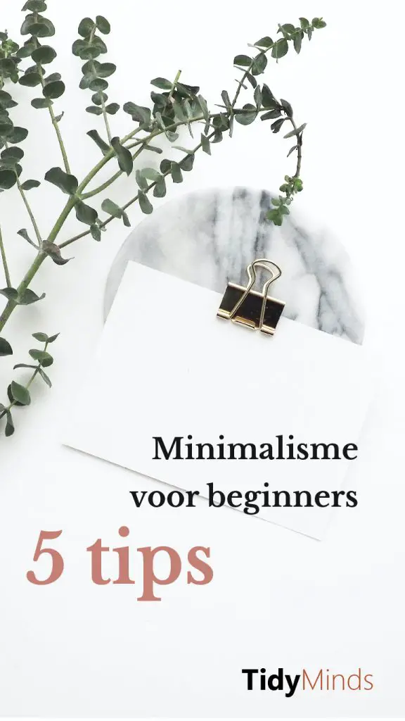 Fouten bij ontspullen Tips voor minimalisme voor beginners Marie Kondo Tidy Minds (1)