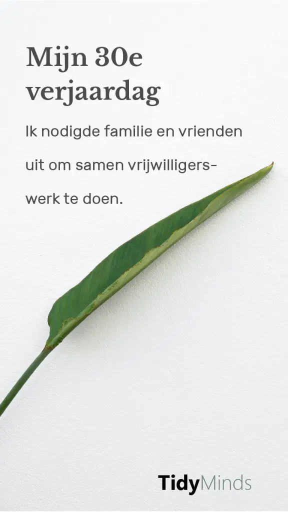 Verjaardag vrijwilligerswerk Stichting Jarige Job Tidy Minds