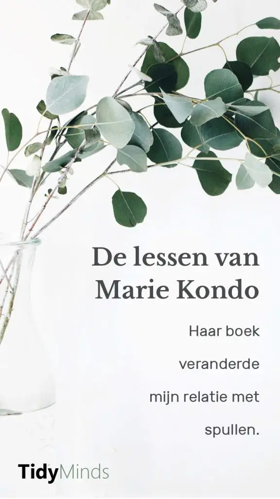 Boekreview Marie Kondo Opgeruimd Spark Joy Tidy Minds