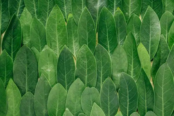 Klusavonturen in het tuinhuis: dit maakten we allemaal zelf