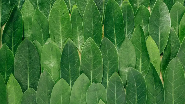 was ook oubollig, kil, oncomfortabel en ongezellig. Het afgelopen jaar in ons volkstuinhuisje hebben wij dus het nodige verbouwd. Dat deden we allemaal zelf en tegen zo laag mogelijke kosten. Lees mee over onze klusavonturen!