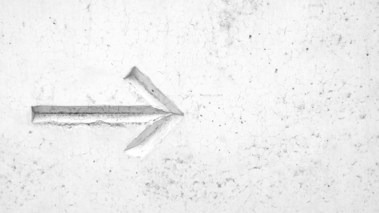 Rendement koopzegels Albert Heijn nu ook digitaal en online