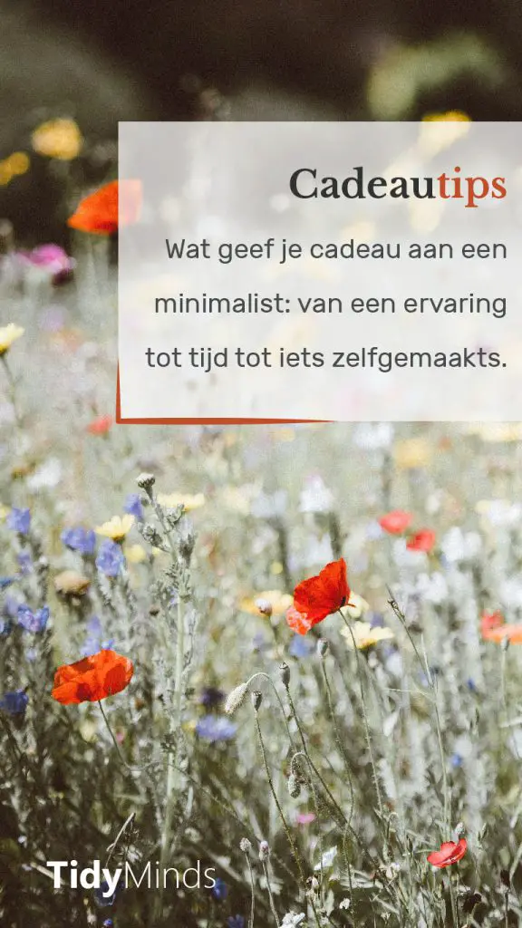 Duurzame cadeautips voor minimalisten