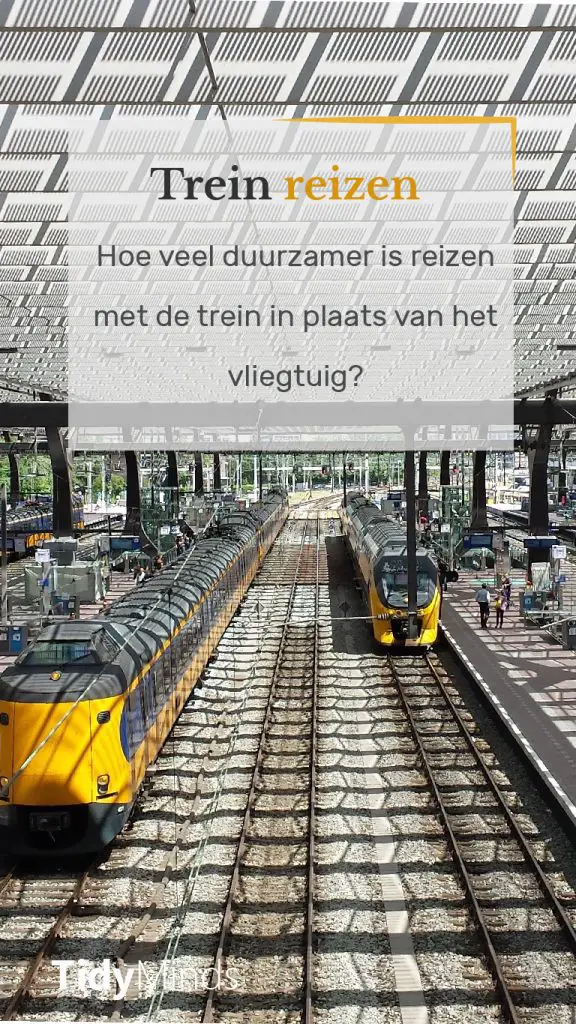 Treinreizen voor duurzaamheid Tidy Minds (2)