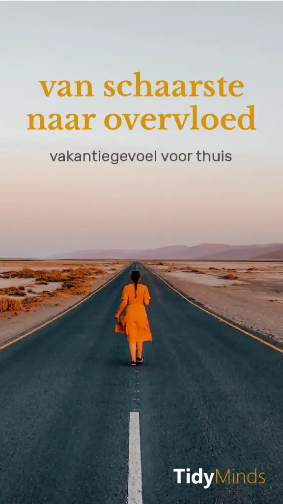 van schaarste naar overvloed en neem je vakantiegevoel mee naar huis Tidy Minds