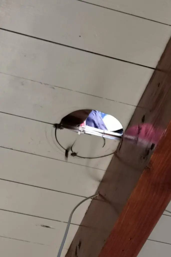 Tiny House verbouwen op de volkstuin door klusamateurs