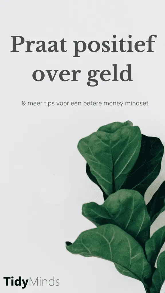 Positieve money mindset voor jouw droomleven | Tidy Minds over geldzaken mindset en passief inkomen