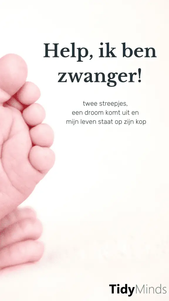 Help ik ben zwanger | Moeders en minimalisme | Minimale babyuitzet | Tidy Minds