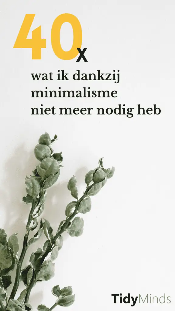 wat ik niet meer nodig heb sinds het ontspullen | minimalisme | Tidy Minds