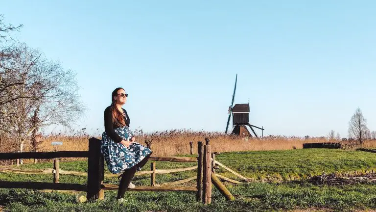 Tidy Minds | Geen Roze Wolk Zwangerschap