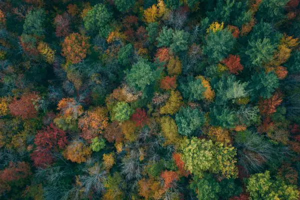 Kijktip: boshuisjes en tiny houses op Youtube