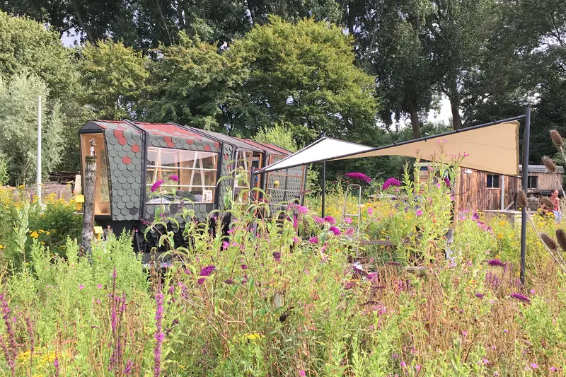natuurhuisje Amsterdam Mot in Mokum vlindertuin