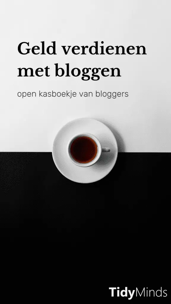 Hoeveel geld verdienen met bloggen Tidy Minds