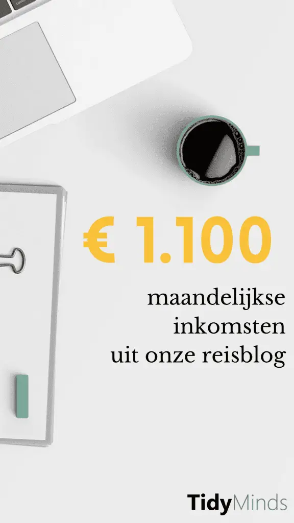 Hoeveel geld verdienen met bloggen Tidy Minds